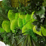Insula - Tableau Végétal Stabilisé XXL - 50x100cm - Nature Stabilisée