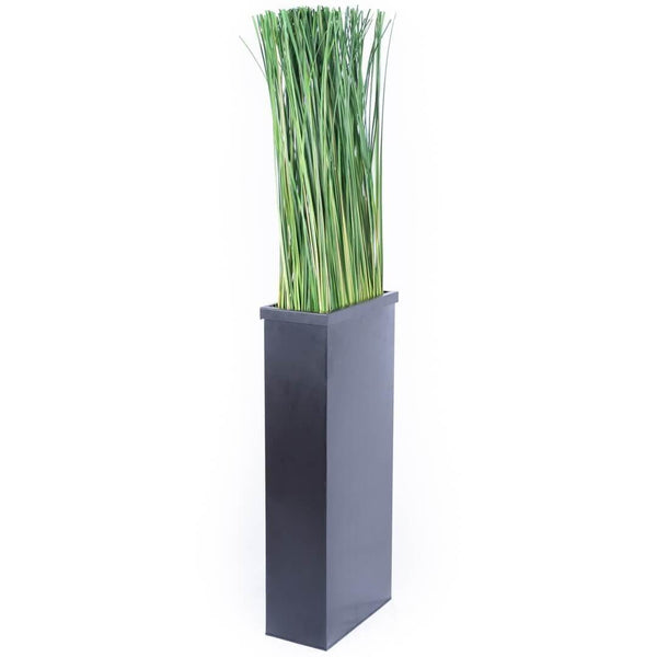 Meuble de séparation + Plante Stabilisée Gynérium 3d 130cm - Nature-Stabilisée.com