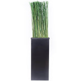 Meuble de séparation + Plante Stabilisée Gynérium face 130cm - Nature-Stabilisée.com