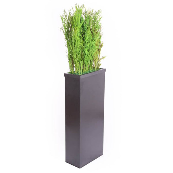 Meuble de séparation + Plante Stabilisée lycopodium cote 110cm - Nature-Stabilisée.com