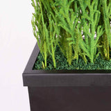 Meuble de séparation + Plante Stabilisée lycopodium zoom paillage 110cm - Nature-Stabilisée.com