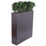 Meuble de séparation + Plante Stabilisée pittosporum coté 120cm - Nature-Stabilisée.com