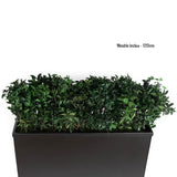 Meuble de séparation + Plante Stabilisée pittosporum dessus 120cm - Nature-Stabilisée.com