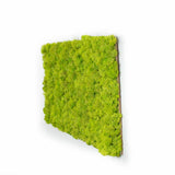 Tableau lichen stabilisé Vert citron diagonal - 30 x 60 cm - Nature-Stabilisée.com