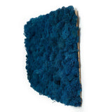 Tableau lichen stabilisé Bleu royal coté - 30 x 60 cm - Nature-Stabilisée.com