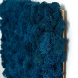 Tableau lichen stabilisé Bleu royal zoom - 30 x 60 cm - Nature-Stabilisée.com