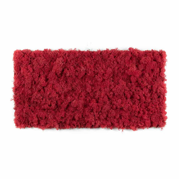 panneau lichen rouge stabilisé