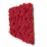 tableau lichen rouge