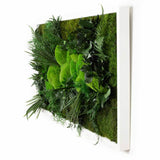 Insula - Tableau Végétal Stabilisé XXL - 50x100cm coté