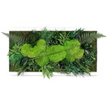 Insula - Tableau Végétal Stabilisé  - 30x60cmcm
