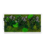 Rubo - Tableau Végétal Stabilisé - 50x100cm - Nature-stabilisee.com