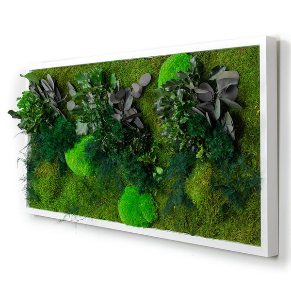 Tableau végétal stabilisé nature pano 20 x 70 cm STAB NATURE