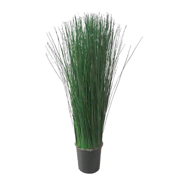 Plante Stabilisée Steel Grass - 120cm - Nature-Stabilisée.com