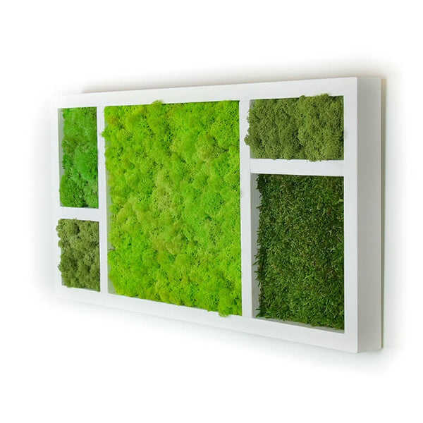 Villandry - Tableau Végétal Stabilisé - 30x60/50x100cm - Nature-Stabilisée.com
