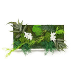 Chloris - Tableau Végétal Stabilisé - 30x60cm - Nature-Stabilisée.com