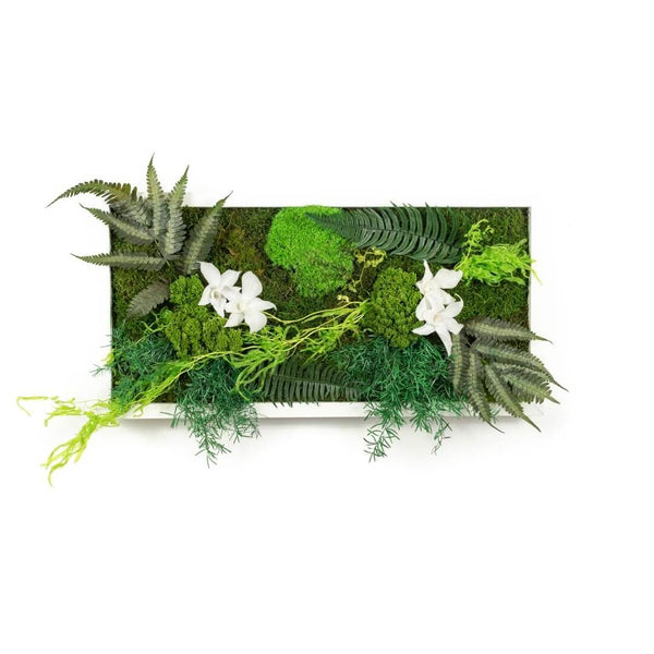 Chloris - Tableau Végétal Stabilisé - 30x60cm - Nature-Stabilisée.com