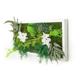 Chloris - Tableau Végétal Stabilisé - 30x60cm coté - Nature-Stabilisée.com