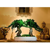 Bonsaï Stabilisé Double racine 35cm - Nature-Stabilisée.com