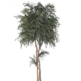 Plante Stabilisée Copa Eucalyptus Nicoly Verte 130/200/240 cm - Nature-Stabilisée.com