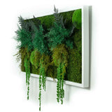 Sylva 50x100cm face tableau végétal stabilisé XXL coté